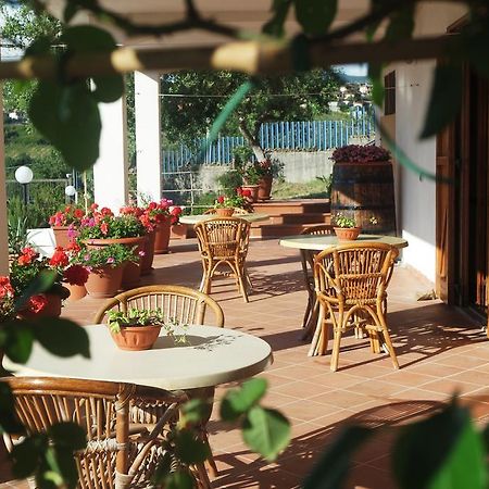 B&B Cilentum Agropoli Zewnętrze zdjęcie