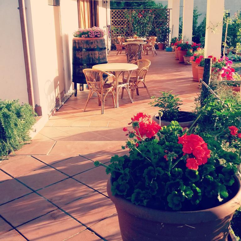 B&B Cilentum Agropoli Zewnętrze zdjęcie